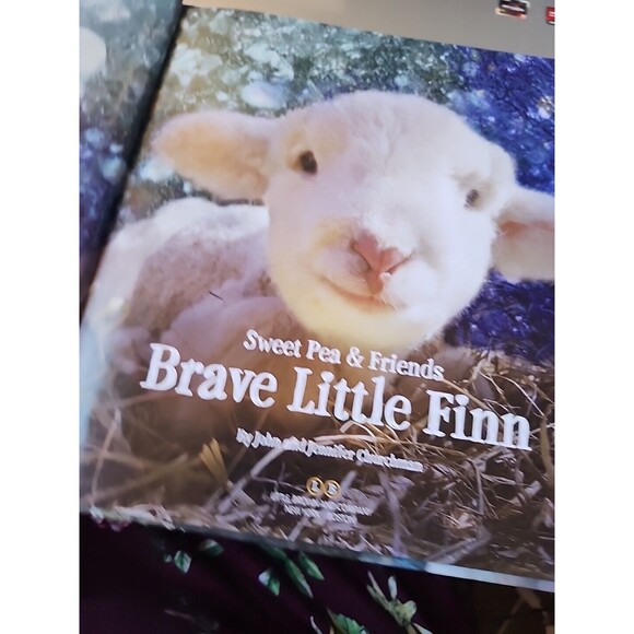 Brave Little Finn by John Churchman and Jennifer Churchman (2016, Picture Book) - Picture 5 of 9